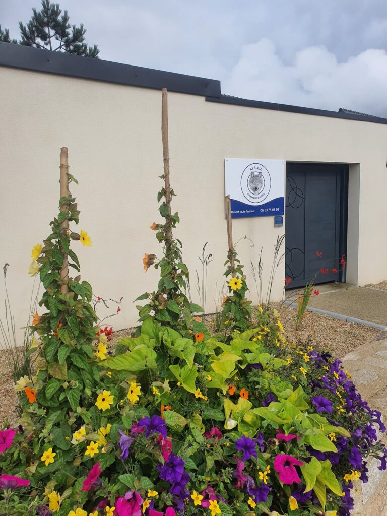 Votre entrée privée. Ki Bleiz ( chien blanc en breton) est le nom de votre chambre d' Hôte.