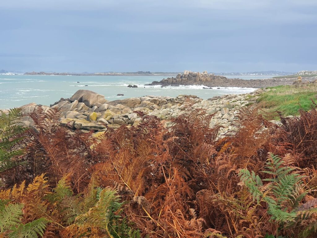 La lande Bretonne ,le vent , les vagues... et Vous?