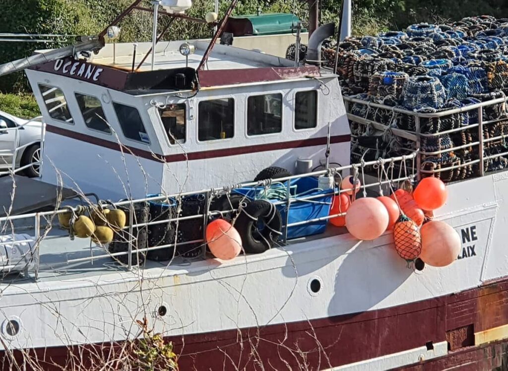 Vous pourrez assister au retour de pêche.