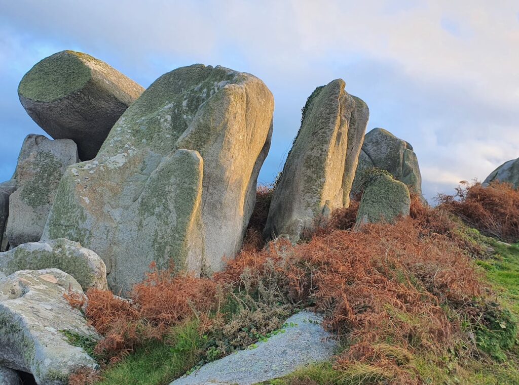 Le sentier côtier vous mènera dans les secrets de la Lande.
