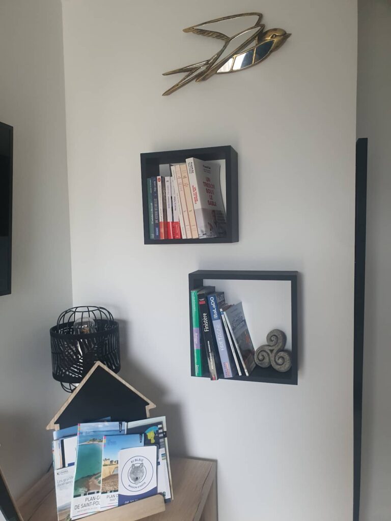 Documentations touristiques, romans, guides de la Bretagne : Une petite bibliothèque à votre disposition pour vous inspirer.