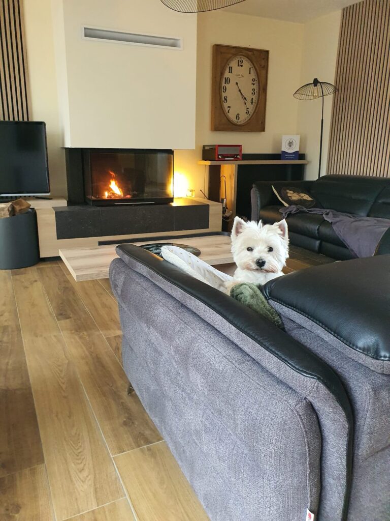 Et on vous attend au salon ... Collection de Vinils pour une ambiance jazz, classique, pop ou électro selon vos goûts Le plaisir d'échanger sur vos escapades de la journée et vos projets découvertes du lendemain ! Chez Ki Bleiz, c'est Cocooning.