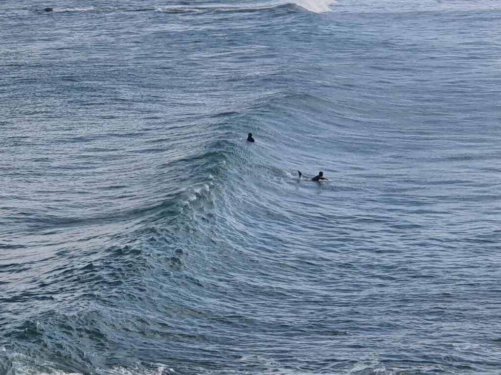 Spot de surf réputé avec son École de surf. Testez les stages d' initiation ! JB vous donnera la technique pour flirter avec les vagues de "La Mauvaise grève ", le nom que l' on donne à ce lieu magnifique !