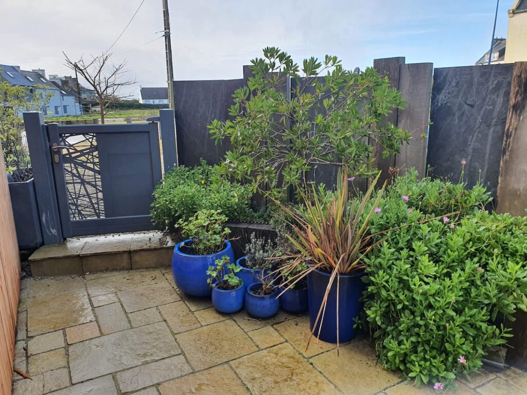 Une terrasse privative fleurie, attenante à votre chambre. Un vrai Bonheur, le matin, d'ouvrir la porte vitrée et de respirer le parfum des géraniums,des roses. Transats à disposition d' Avril à la fin Octobre.