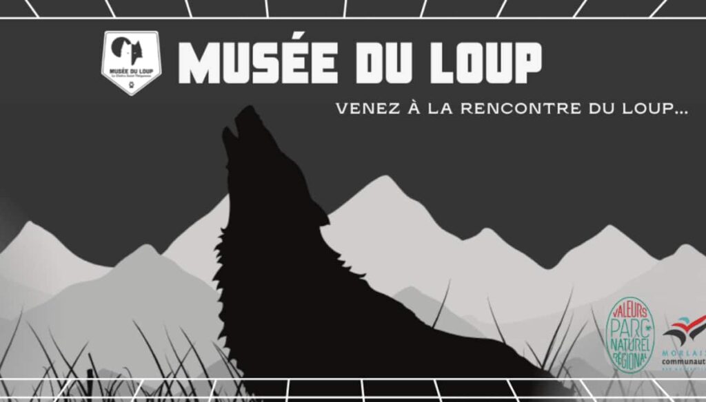 Direction Saint-Thégonnec !