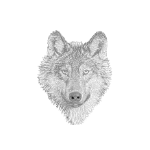 logo footer blanc - ki bleiz